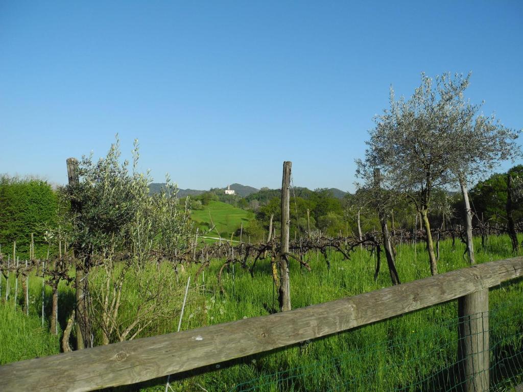 Вілла Agriturismo Cornolere Castelcucco Екстер'єр фото