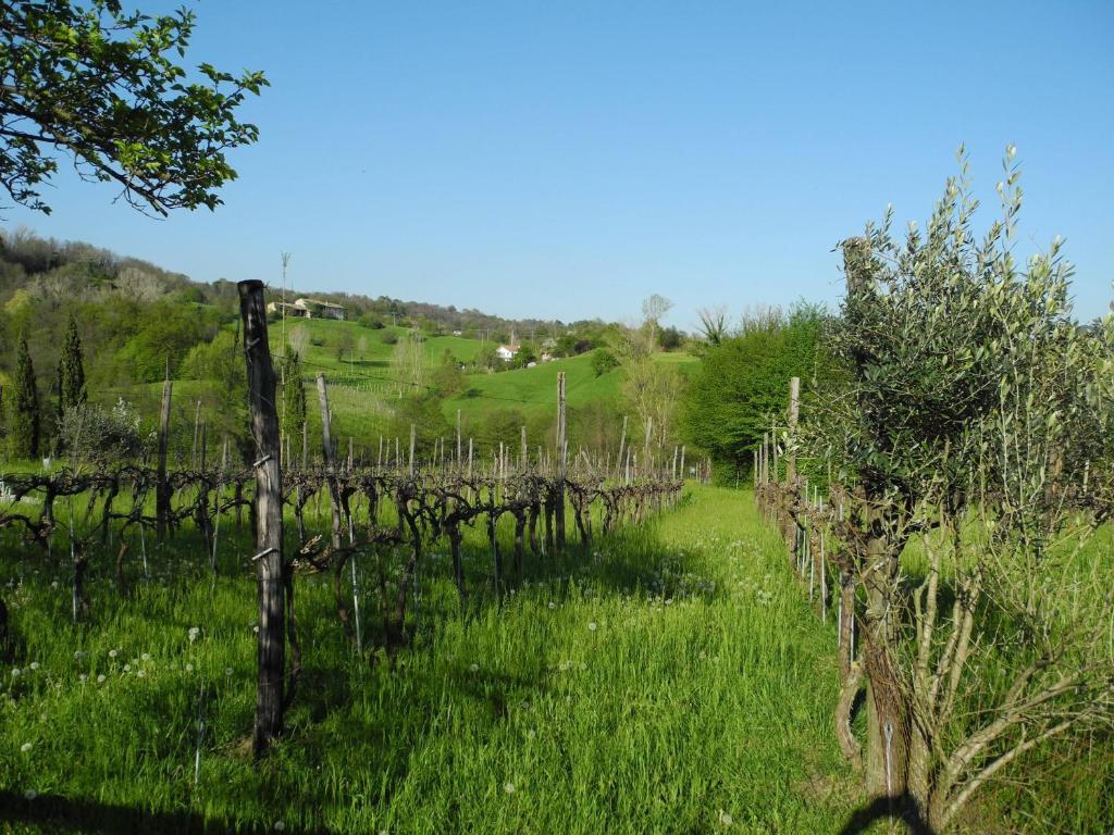 Вілла Agriturismo Cornolere Castelcucco Екстер'єр фото